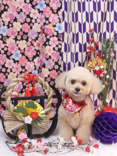 20250130むぎちゃん